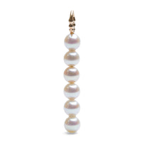 charm dot 6