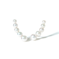 Akoya 5pearl pair pierce