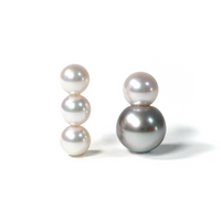 docking Pierced Earring / Pair / 004
