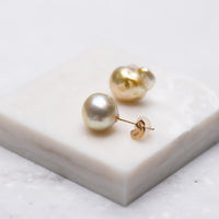 pearl pair pierce - MN-pGD002 -