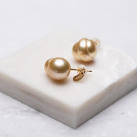 pearl pair pierce - MN-pGD003 -
